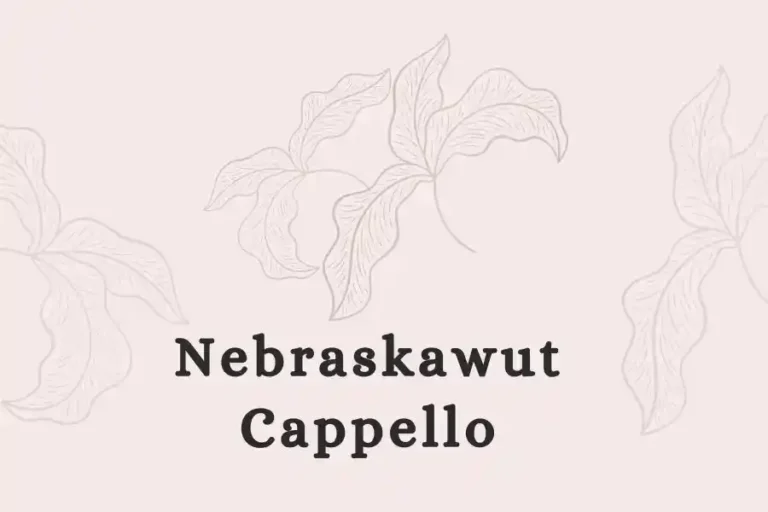 Nebraskawut Cappello: A Journey Through Mystery and Achievement