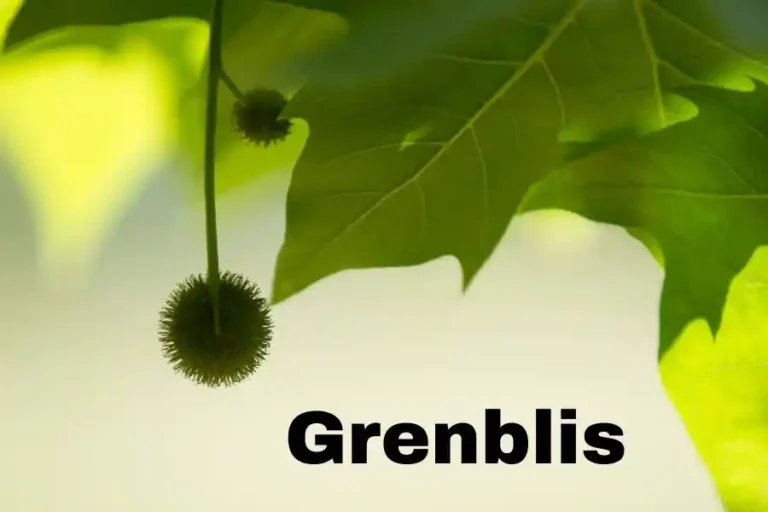 Grenblis: The Ultimate Guide to Nutrition, Growth, and Health Benefits