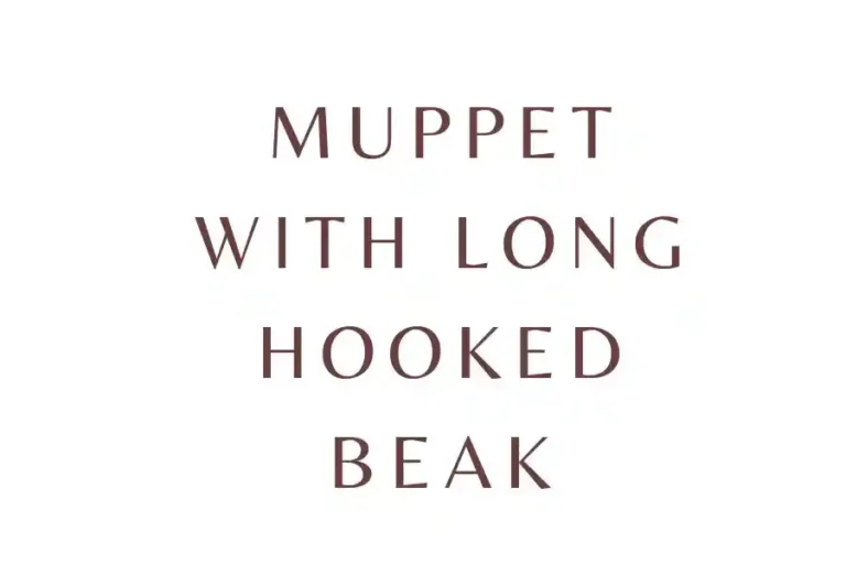 Muppet with Long Hooked Beak: The Evolution of Gonzo the Great