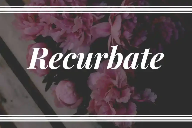 The Comprehensive Guide to Recurbate: Navigating the Ultimate Cam Archive Platform
